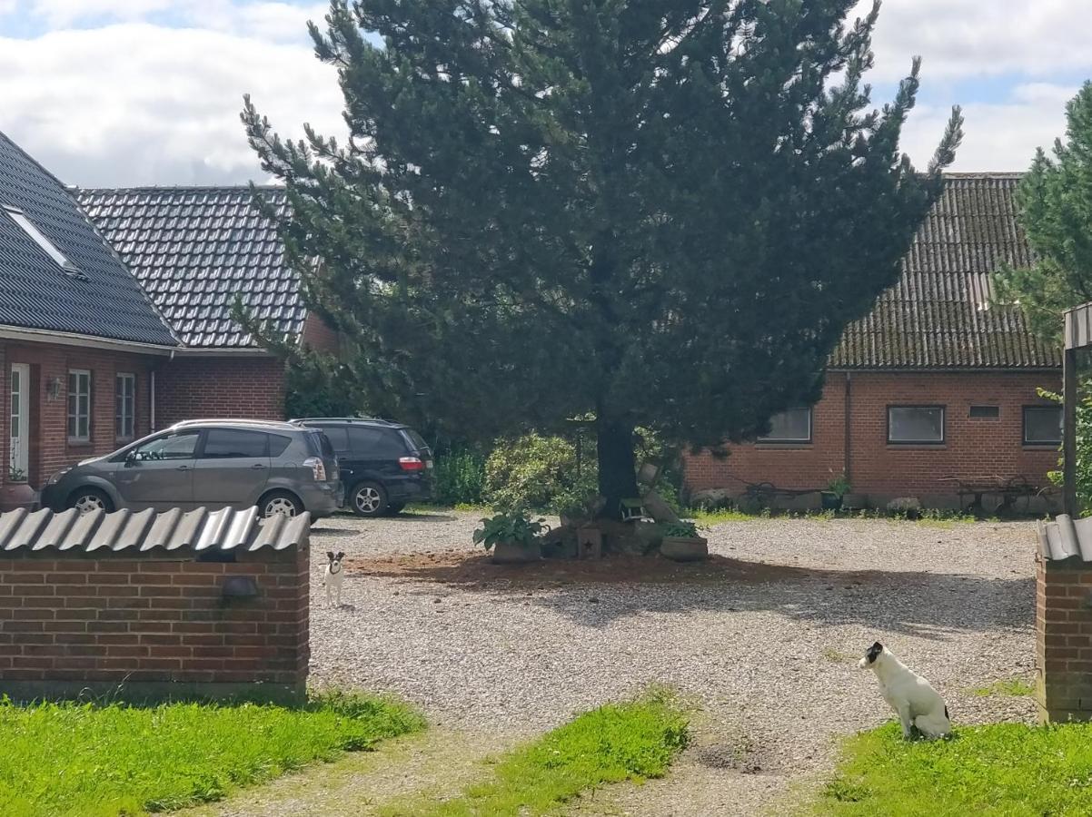 Appartement Kristinebjerg à Jelling Extérieur photo